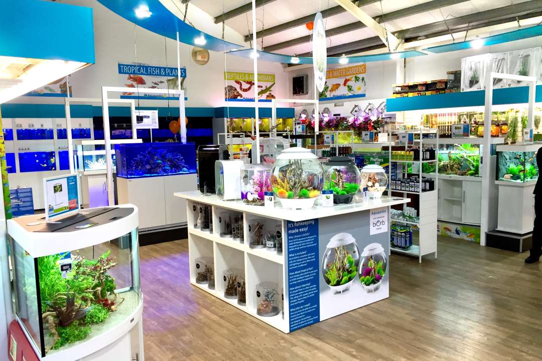 25 Years at Garsons Titchfield Garsons
