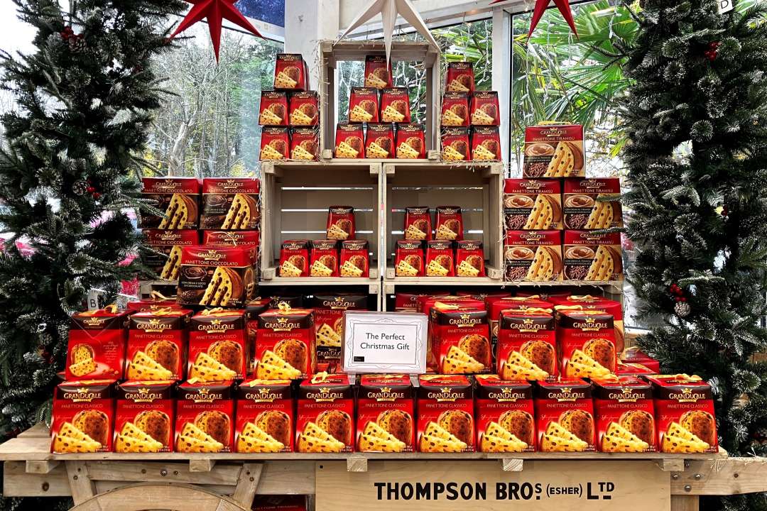 Garsons Titchfield Christmas 2024 Ollie Atalanta