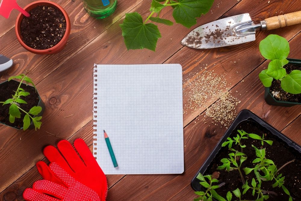 7 New Year’s resolutions for gardeners 7 New Year’s resolutions for gardeners