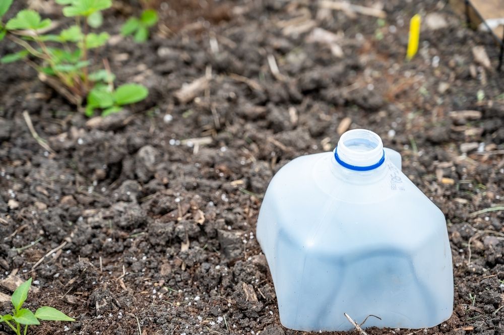 8 great gardening hacks 8 great gardening hacks