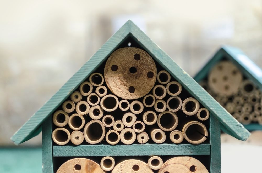 8 ways to make a biodiverse garden 8 ways to make a biodiverse garden
