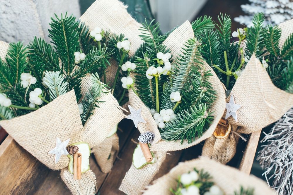 9 seasonal plants for Christmas bouquets 9 seasonal plants for Christmas bouquets