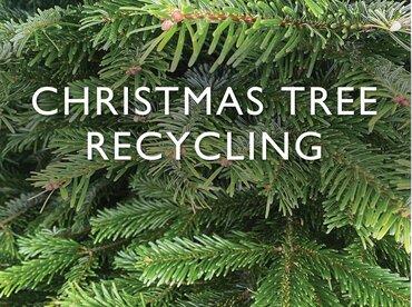 Christmas Tree Recycling - at Garsons Esher