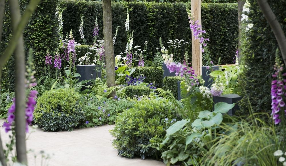 Enjoy Hampton Court Flower Show Enjoy Hampton Court Flower Show