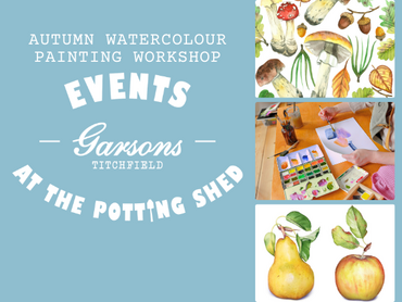 Events at Garsons Titchfield: Autumn Watercolour Workshop