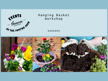 Events at the Potting Shed: Hanging Basket Workshop