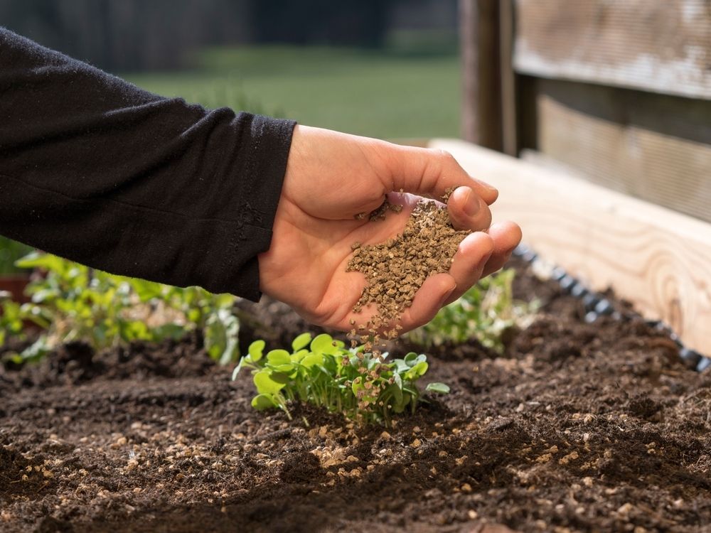 Explaining plant food and fertilizers Explaining plant food and fertilizers