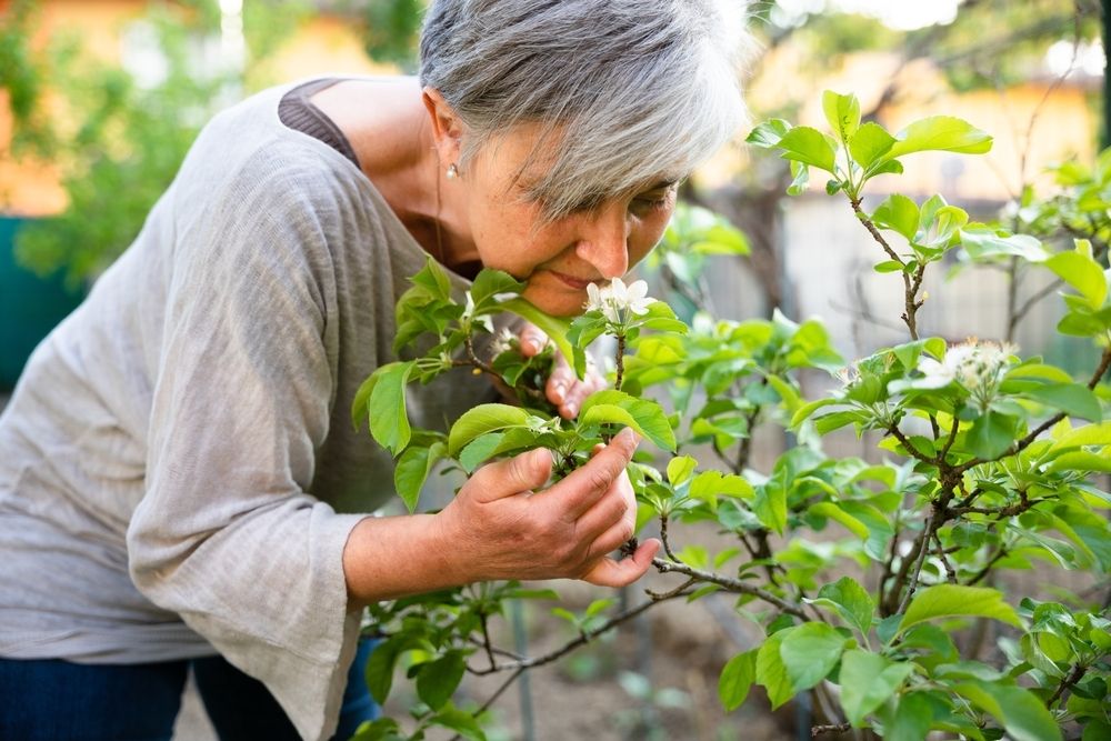 Garden therapy Garden therapy