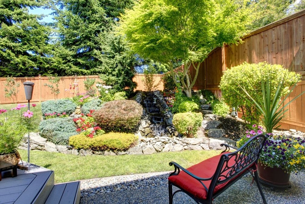 How to plant trees, conifers and shrubs How to plant trees, conifers and shrubs