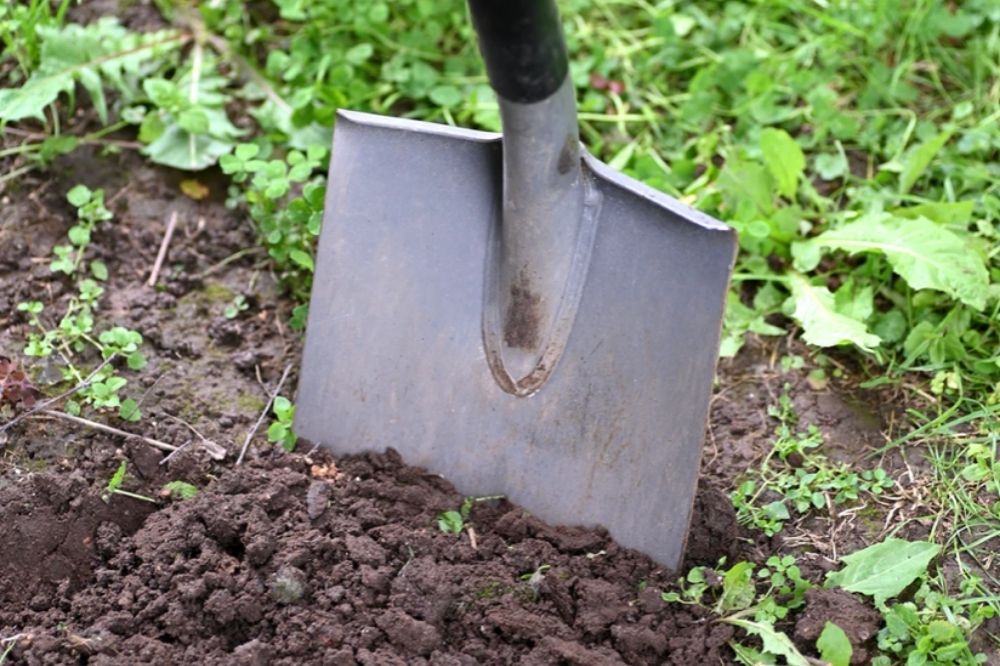 How to test your soil pH How to test your soil pH