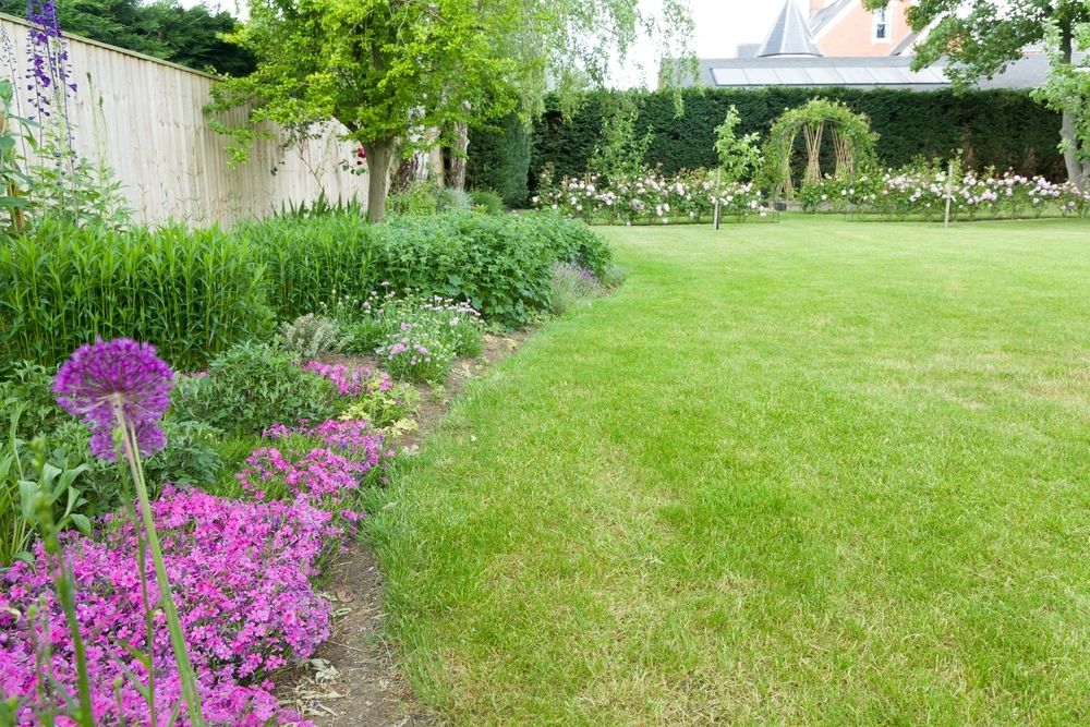 Lawn tips for June Lawn tips for June