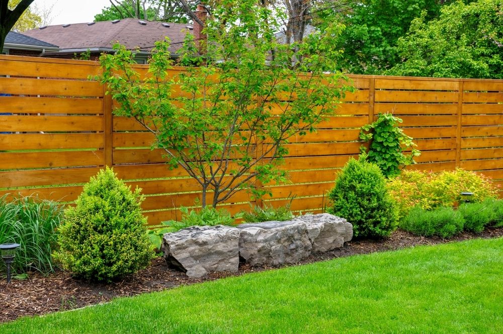 Low maintenance gardening Low maintenance gardening