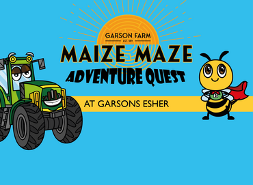 Maize Maze Adventure Quest at Garsons Esher