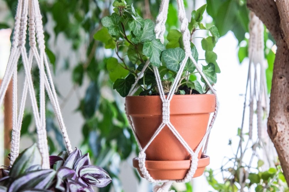 Make your own plant hangers Make your own plant hangers