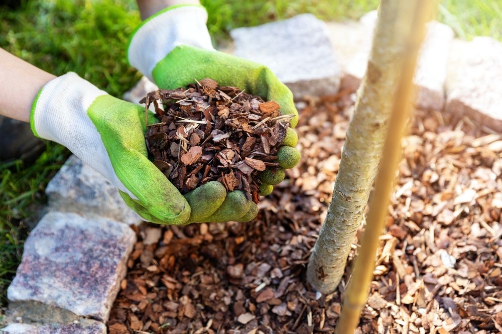 Mulch your garden Mulch your garden