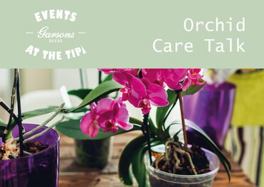 Orchid Care Talk - at Garsons Esher