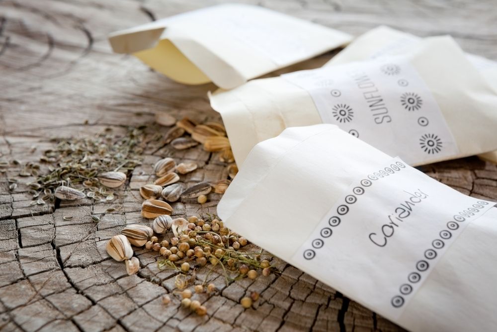 Which seeds to sow this year Which seeds to sow this year