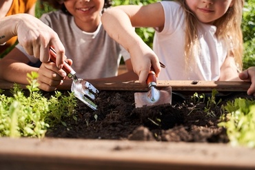 Fun garden activities for kids