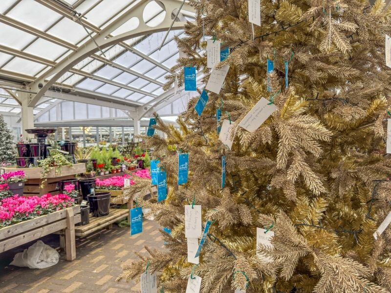 Support Shooting Star Children's Hospice with the Memory Tree at Garsons Esher