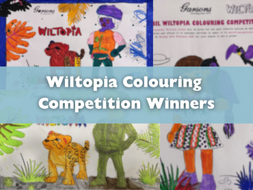 February Playmobil Wiltopia Competition Winners