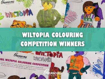 February Playmobil Wiltopia Competition Winners