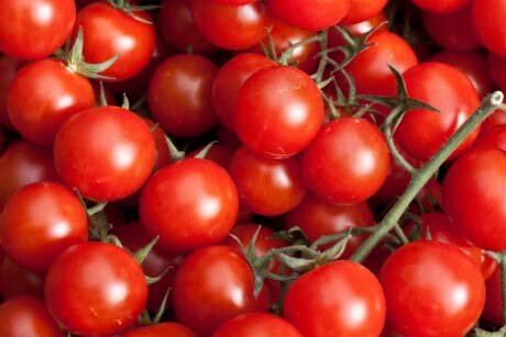 Gardening by Month - July
