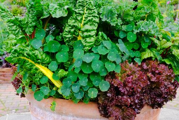 Gardening by Month - March