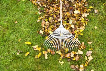Gardening by Month - October