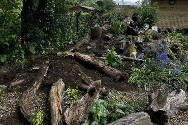 Garsons Supports The Fernery: A Living Classroom for Future Gardeners