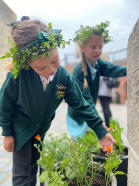 Helping Southsea Castle attract wildlife