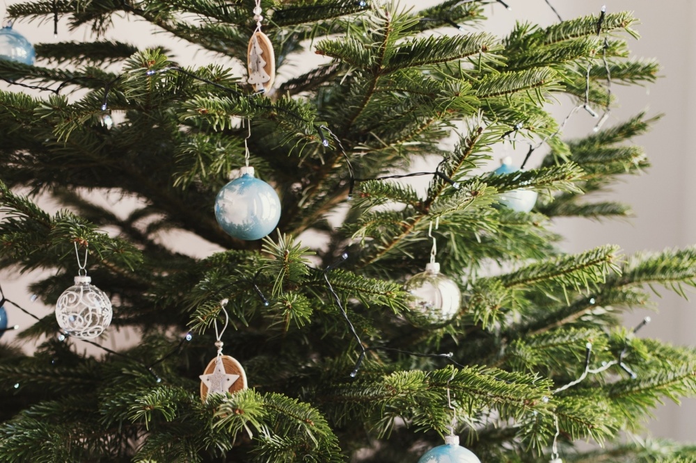 How to keep your Christmas tree fresh for longer Garsons