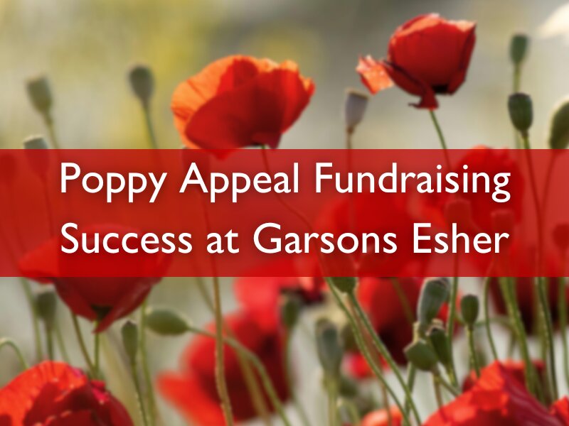Poppy Appeal Fundraising Success at Garsons Esher