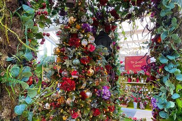 PR: GARSONS NAMED TOP 3 BEST CHRISTMAS DESTINATION GARDEN CENTRE IN THE UK