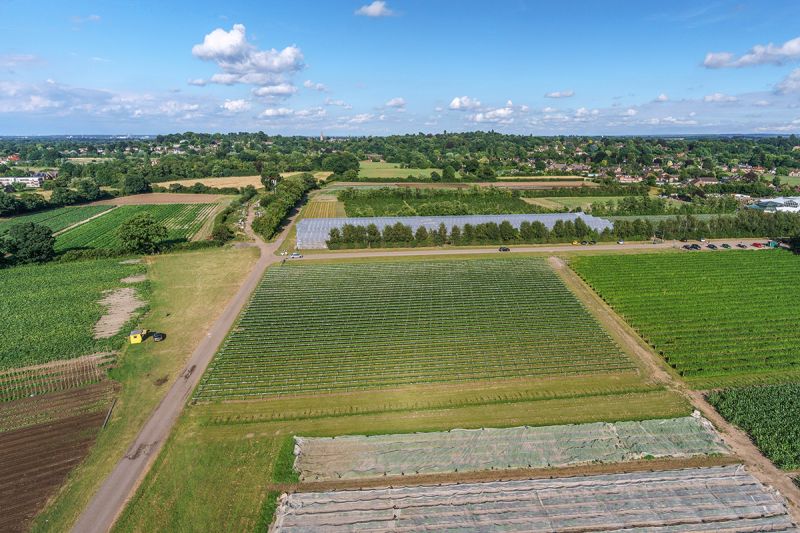 PYO Farm | Garsons