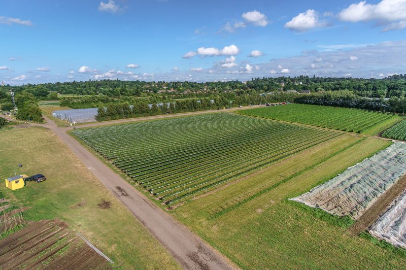 Pick Your Own Farm Garsons Esher & Garsons Titchfield