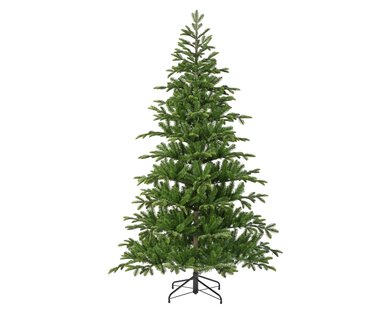 Balsamea Fir 2.4m - image 1