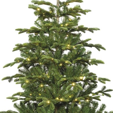 Balsamea Fir Pre-lit 2.1m - image 2