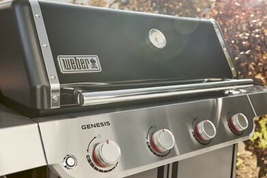 Genesis E-415 - image 2