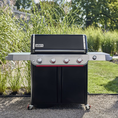 Genesis E-425W - image 6