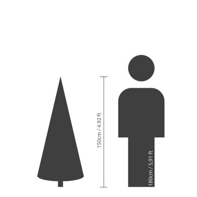 Grandis Fir 1.5m - image 5