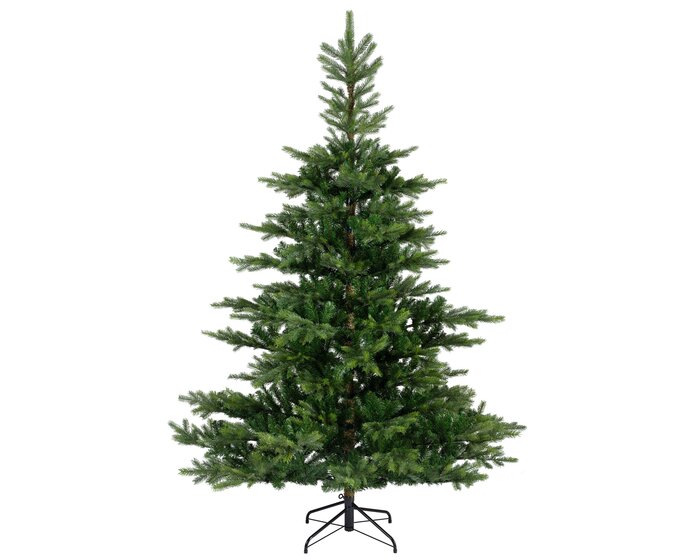Grandis Fir 1.5m - image 1