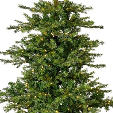 Grandis Fir Pre-lit 2.1m - image 2