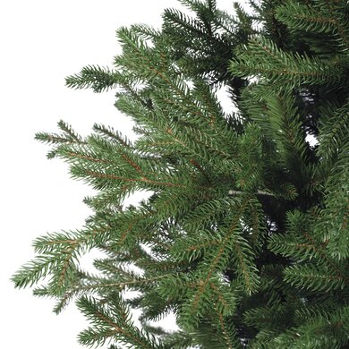 Greenhill Fir 2.1m - image 5