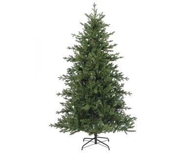 Greenhill Fir 2.1m - image 1