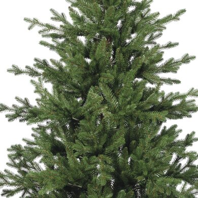 Greenhill Fir 2.4m - image 6
