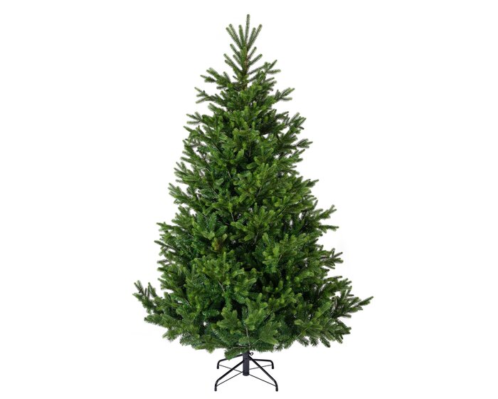 Nordman Fir 2.1m - image 1