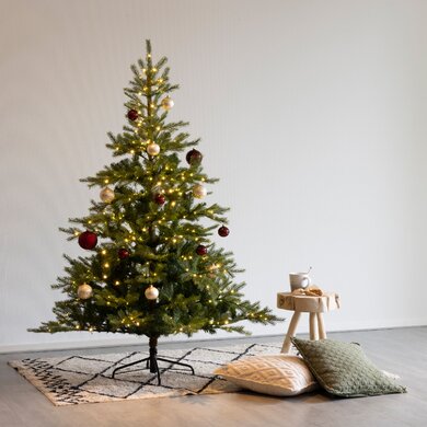 Pre-Lit Grandis Fir 2.1m - image 3