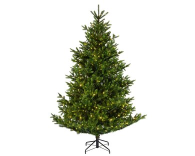 Pre-Lit Nordmann Fir 2.1m