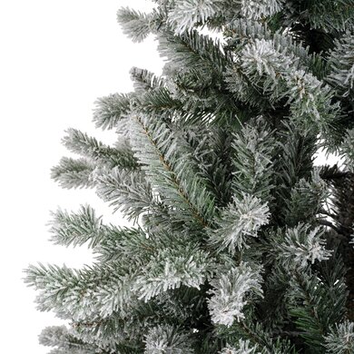 Snowy Alba Fir 2.1m - image 2