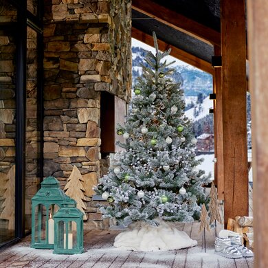 Snowy Alba Fir 2.1m - image 3